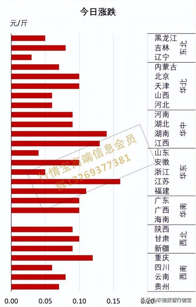 起飞！附明日1121全国最新猪价凯发天生赢家猪价一天涨2毛火箭猪